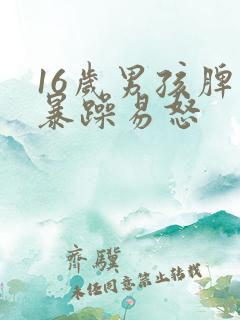 16岁男孩脾气暴躁易怒