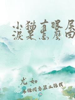 小猫有眼屎流眼泪是怎么回事