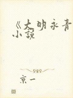 《大明永青侯》小说