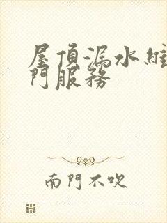 屋顶漏水维修上门服务