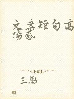 文案短句高质量伤感