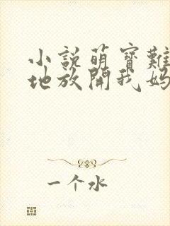 小说萌宝难宠爹地放开我妈咪