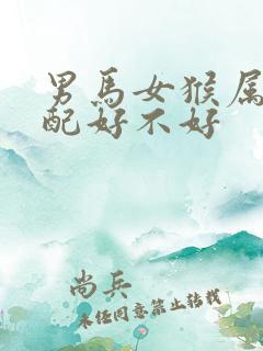 男马女猴属相婚配好不好