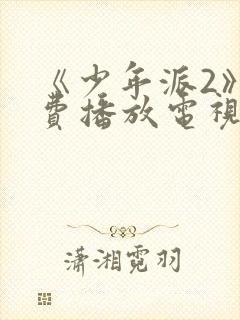 《少年派2》免费播放电视剧完整版