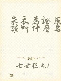 朱衣为证原著小说叫什么名字