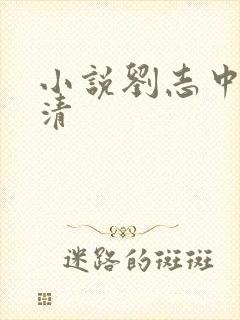 小说刘志中卢玉清