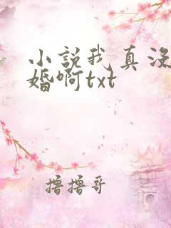 小说我真没想结婚啊txt