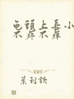 龟头上长小肉粒不疼不痒