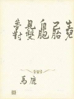 梦见自己生了一对双胞胎儿子周公解梦