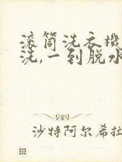 滚筒洗衣机可以洗,一到脱水就不转