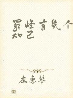 罗峰有几个红颜知己