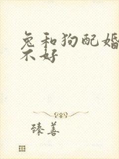兔和狗配婚姻好不好
