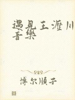 遇见王沥川 纯音乐