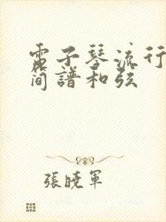 电子琴流行歌曲简谱和弦