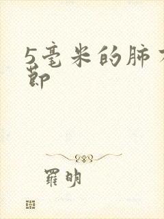 5毫米的肺有结节