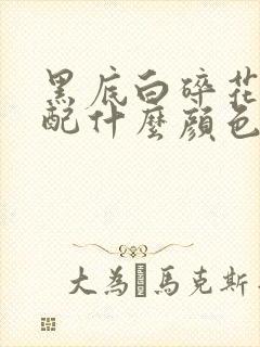 黑底白碎花半裙配什么颜色的上衣