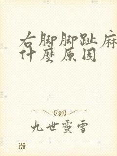 右脚脚趾麻木是什么原因