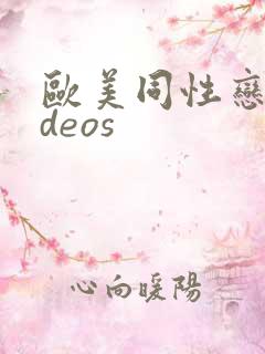 欧美同性恋videos