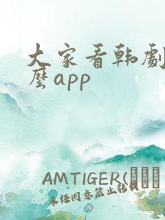 大家看韩剧用什么app