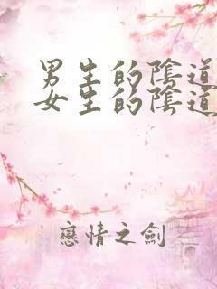 男生的阴道插入女生的阴道视频