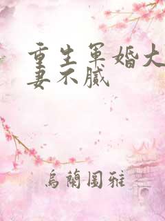 重生军婚大佬宠妻不腻