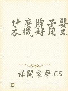 什么牌子婴儿洗衣机好用又实惠