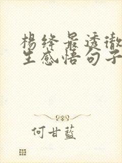 杨绛最透彻的人生感悟句子