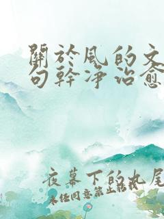 关于风的文案短句干净治愈