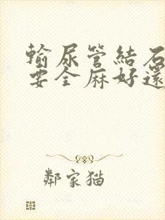 输尿管结石手术要全麻好还是半麻好