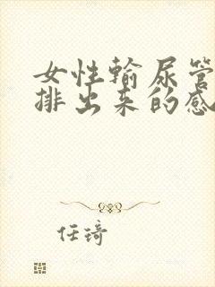 女性输尿管结石排出来的感觉