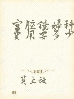 宫腔镜妇科检查费用要多少