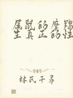 属鼠的摩羯座女生真正的性格