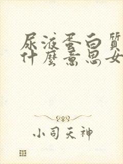 尿液蛋白质阳性什么意思女性