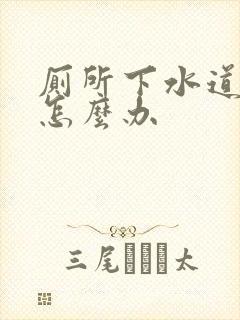 厕所下水道堵了怎么办