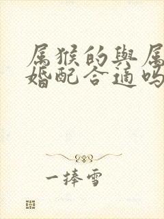 属猴的与属马的婚配合适吗