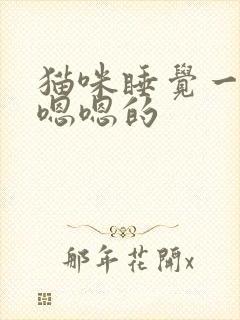 猫咪睡觉一直嗯嗯嗯的