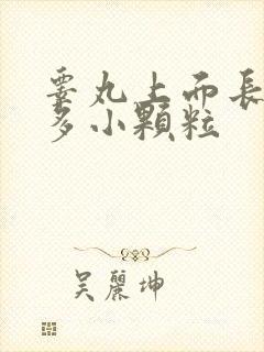 睾丸上面长了很多小颗粒