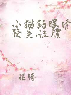 小猫的眼睛红肿发炎,流脓