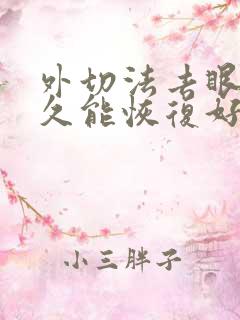 外切法去眼袋多久能恢复好