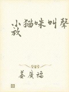 小猫咪叫声音播放