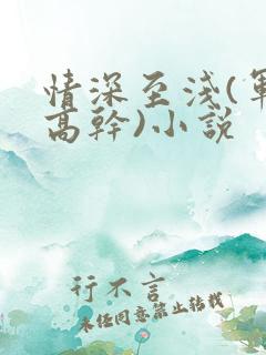 情深至浅(军旅高干)小说