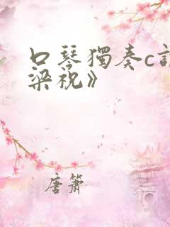 口琴独奏c调《梁祝》