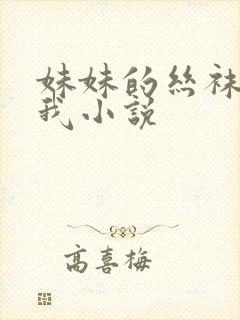 妹妹的丝袜调教我小说