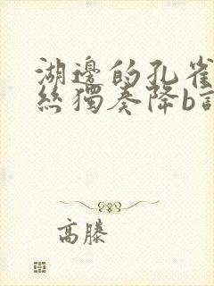 湖边的孔雀葫芦丝独奏降b调简谱