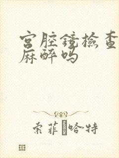 宫腔镜检查需要麻醉吗