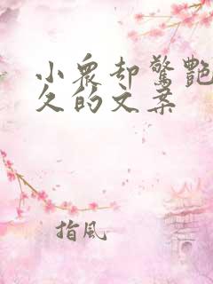 小众却惊艳你很久的文案