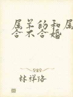 属羊的和属鼠的合不合婚