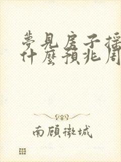 梦见房子摇晃是什么预兆周公解梦