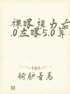 裸眼视力右眼5.0左眼5.0算不算近视呢