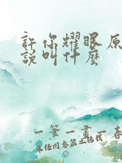 许你耀眼原著小说叫什么